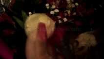 Foot Fetish Flowers
