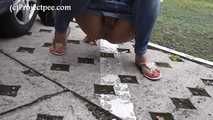 119019 Donna-Jo Pees A Flood In The Amusement Park 