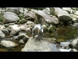 Sophie enjoying the water and weather on a river wearing supersexy grey sauna pvc rainwear (Video)