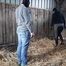 This is what happens to the groom when he disobeys