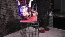 2 new Hogtie Challenges for Lena King