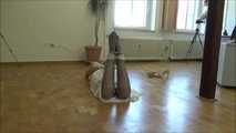 Guset Lea - tricked out Part 4 of 7