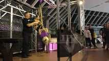 Lena King - suspended in Public