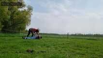 With the face in the horse manure