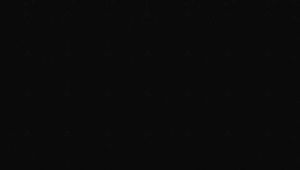clip no. 291
