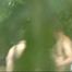 HIDDEN CAM AND FUCKING COUPLES