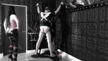50 lashes for the little wanker