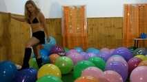Bibi 29