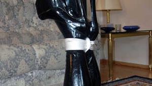 Schwarz und rot im Hogtied!