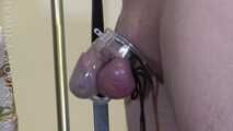 Real Session in Swiss - Doggy Play - Chapter 1