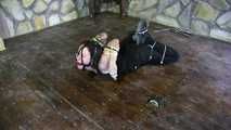 Extreme Ziptie Challenge for tattoeDMomo - her tightest one so far...