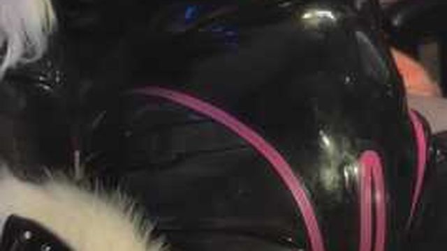 Furry vixen fox milks the slave.