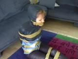 A video with one of our archive girls tied and gagged in shiny nylon rainwear