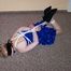 First Time tied up