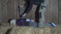 Elysa im hogtie 1/2