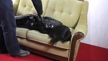 Michelle in einem hogtie 1/3