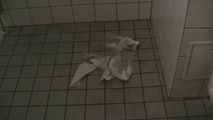 056025 Kasha Pees On The Floor Of The Smelly Toilet 