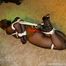 2 new supertight Hogties for Yvette