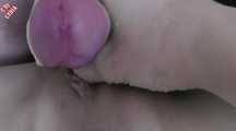 TAIL DOUBLE PACK
