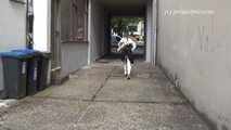 047014 Yassie Slips Up An Alley To Pee