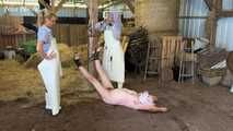 Slaughter day with Amely Pain which pig is today's turn