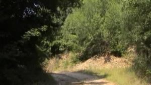 AB-245 The gravel pit