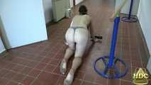 HDC Project - Mademoiselle Fiffi 02