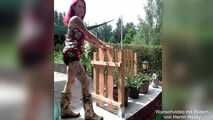 Request video picture compilation