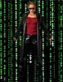 Matrix-Girl Zarah