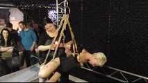 Public Suspension