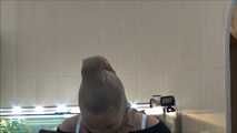 Paula - New prisoner in the house Part 3 of 8