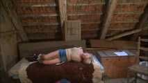 Kate - The girl of the banker Part 5 of 6