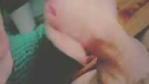 LEARNING BLOW