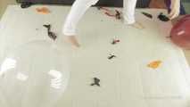 046 Stomping Balloons socks & barefeet