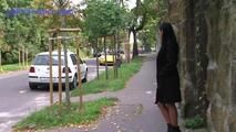 050012 Roxy Pees In The Residential Street