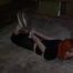 1194 Amber in Walkabout Hogtie