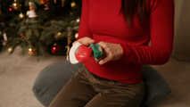 1375 Fröhliche Weihnachten 2022