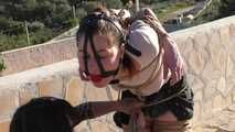 Public Bondage Walk Training Lesson for Any Twist