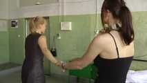 VISIT OF A FRIEND 2