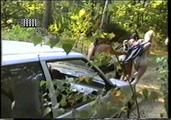 Pony Girls Car Pulling