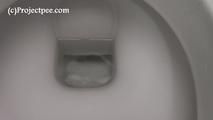 119003 Donna-Jo Takes A Long Pee In The Shopping Mall Toilet