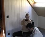 SIS-001 Psycho Experiments (1) - Teil 1