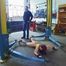 The Inspection - p-one