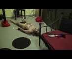 Femdom frenzy