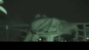 HEIMLICH BEOBACHTET UND DU DABEI