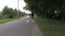 Blowjob on the street