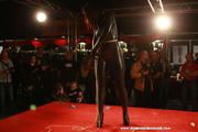 Katarina Blade live at BoundCon