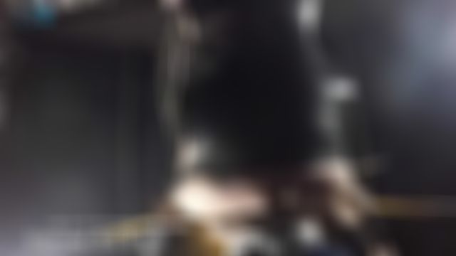 Swing on our schlongs!