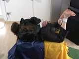 Get 3 classic archive videos with Katharina bound and gagged in shiny nylon rainwear