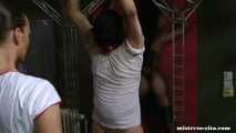 Mistress Zita - Ballbusting
